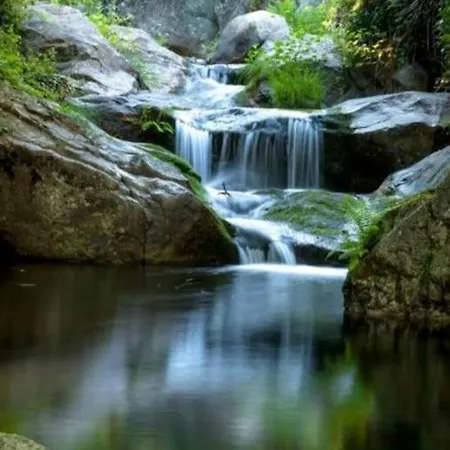 Daire Precioso Piso Con Increibles Vistas En Piedralaves, Tietar Piedralaves